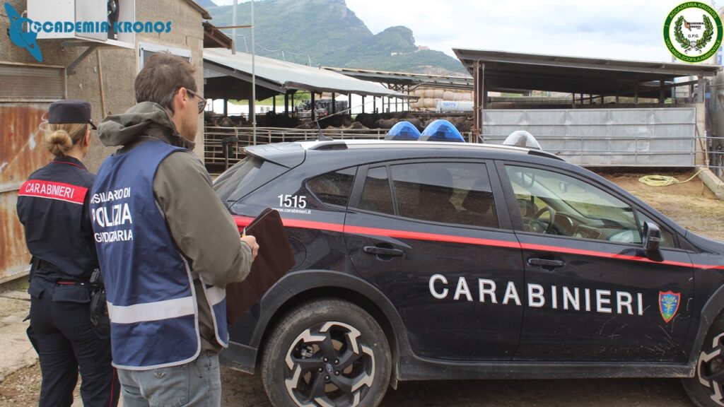 Capaccio Paestum, liquami e rifiuti sversati nei terreni: denunciato imprenditore