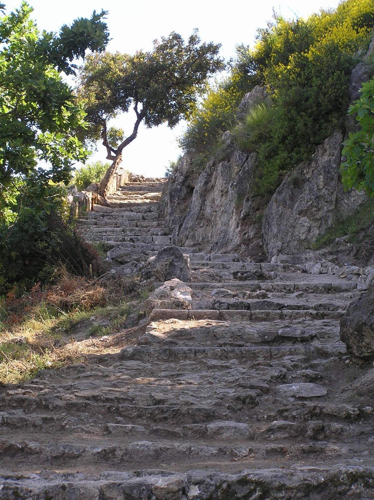 Closed path, skip the autism walk