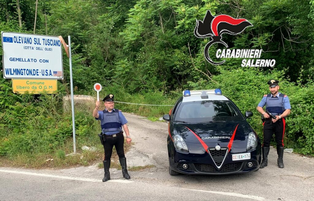 Olevano sul Tusciano, aggredisce carabinieri con un palo