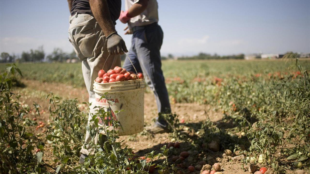 Gangmastering, laborers paid 2 euros an hour: 7 arrests