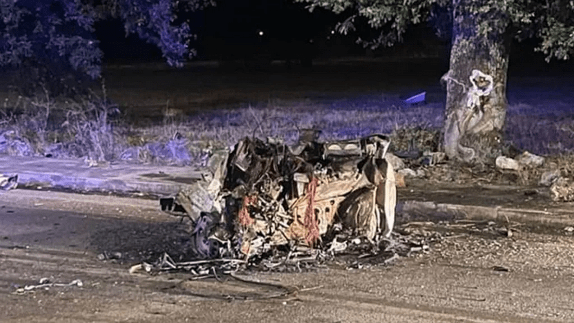 Automotive vs Tree, Combat with Demise