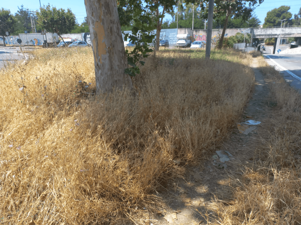 Salerno, Parco del Mercatello assediato dall’incuria