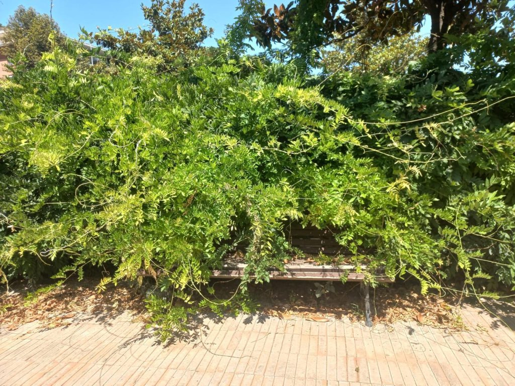 Salerno, the forgotten park becomes an alcove