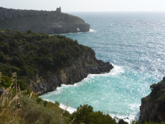 Environmental crimes on the coasts, Campania black sheep