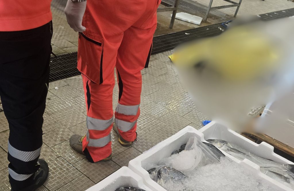 Salerno, spari al mercato del pesce: due morti