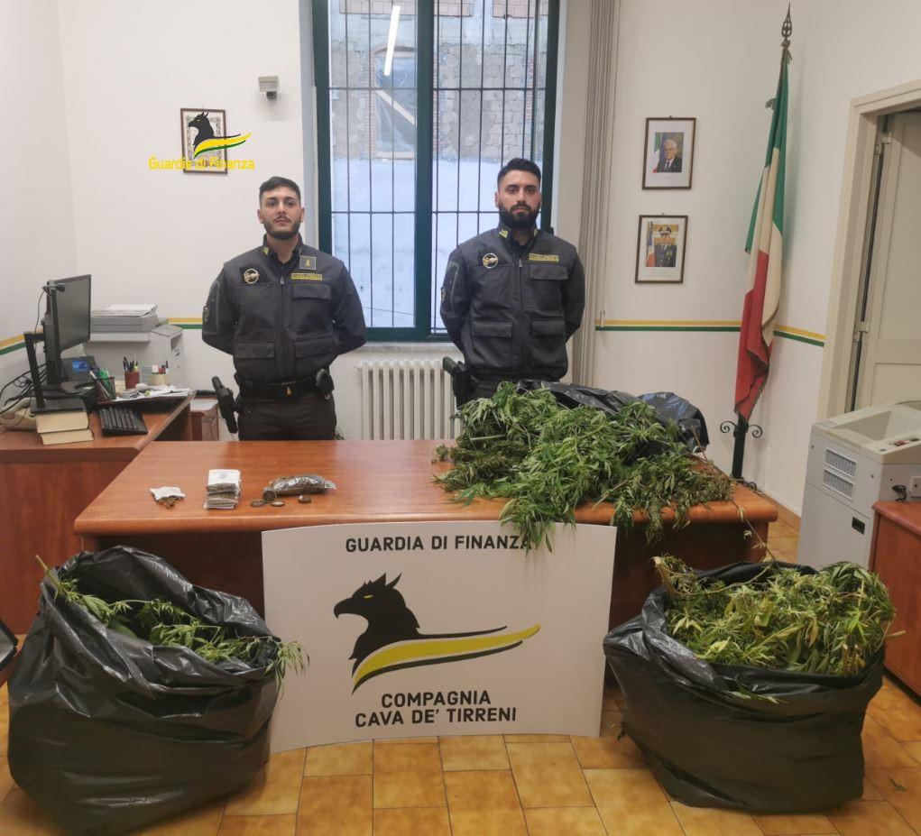 Cava de’ Tirreni, insospettabile custodiva piantagione di marijuana