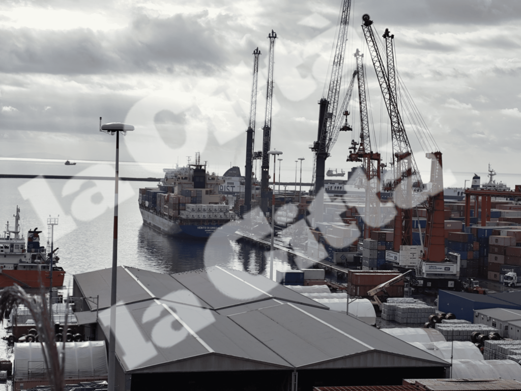 Clandestini in un container al porto di Salerno