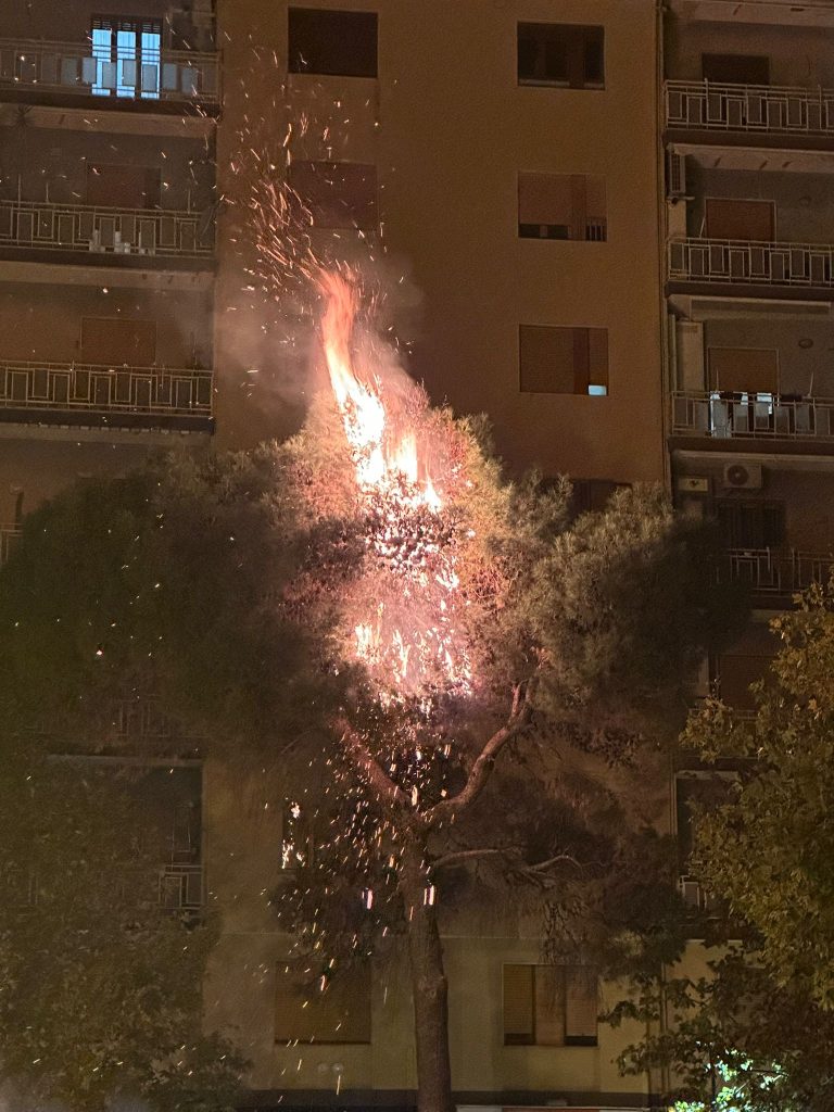 Battipaglia, albero a fuoco durante il concerto