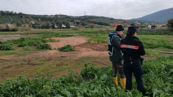 Capaccio, smaltimento illecito di liquami: sequestrata azienda