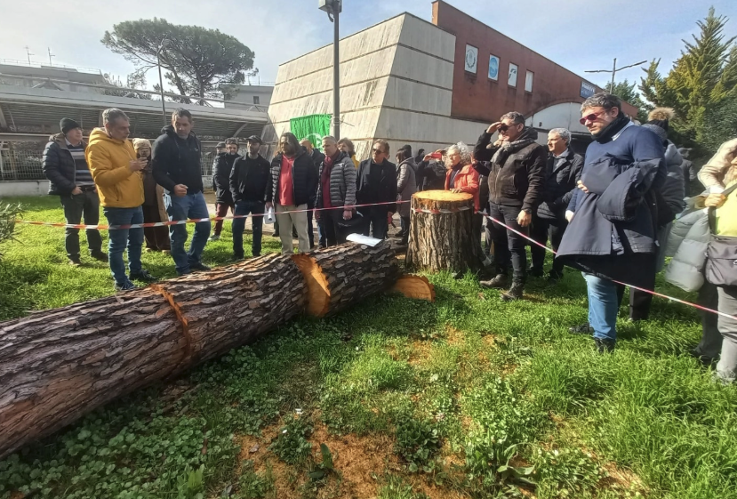 Alberi a rischio crollo a Salerno, chiusa l’area giochi