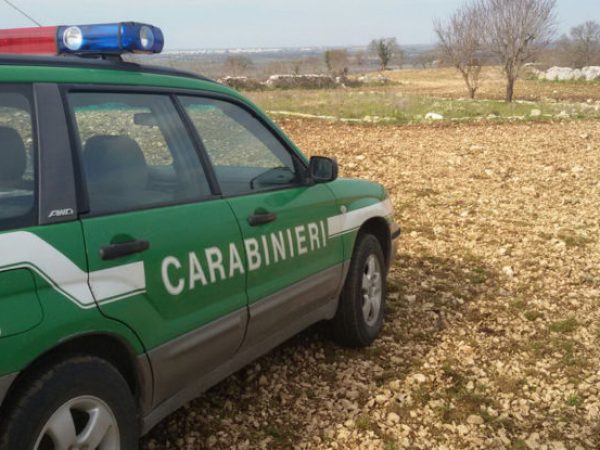 carabinieri-forestali